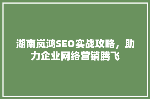 湖南岚鸿SEO实战攻略，助力企业网络营销腾飞