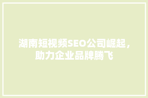 湖南短视频SEO公司崛起，助力企业品牌腾飞