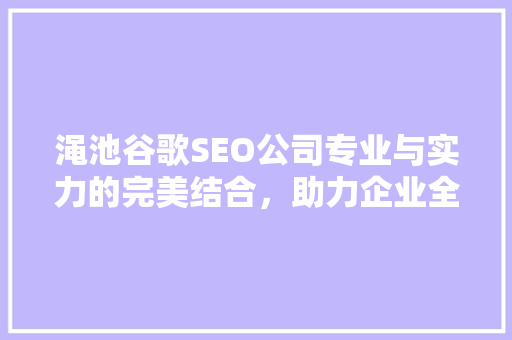 渑池谷歌SEO公司专业与实力的完美结合，助力企业全球化发展
