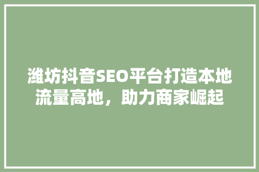 潍坊抖音SEO平台打造本地流量高地，助力商家崛起