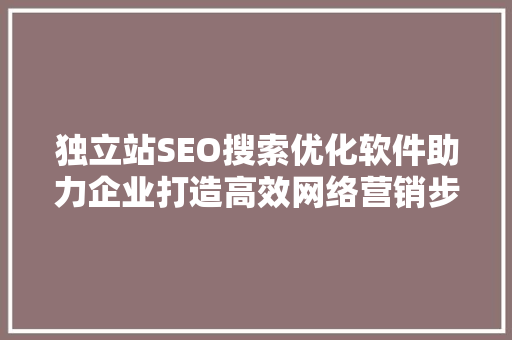 独立站SEO搜索优化软件助力企业打造高效网络营销步骤