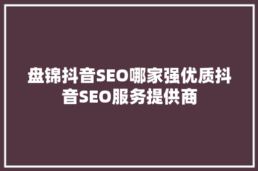 盘锦抖音SEO哪家强优质抖音SEO服务提供商
