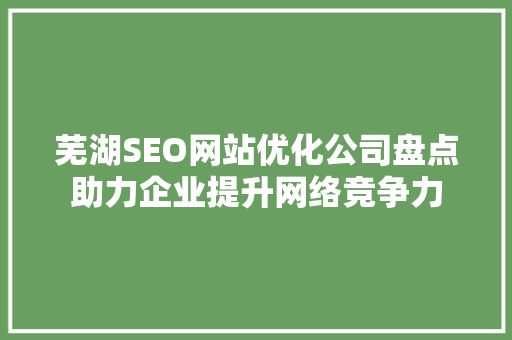 芜湖SEO网站优化公司盘点助力企业提升网络竞争力