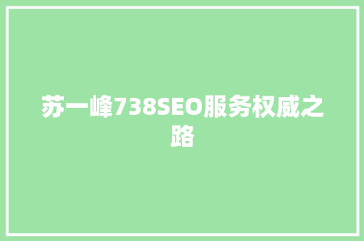 苏一峰738SEO服务权威之路