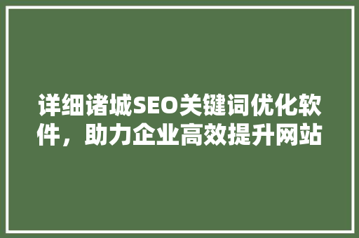 详细诸城SEO关键词优化软件，助力企业高效提升网站排名