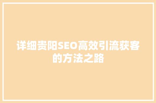详细贵阳SEO高效引流获客的方法之路