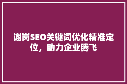 谢岗SEO关键词优化精准定位，助力企业腾飞