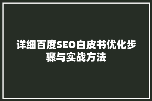 详细百度SEO白皮书优化步骤与实战方法
