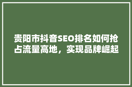 贵阳市抖音SEO排名如何抢占流量高地，实现品牌崛起