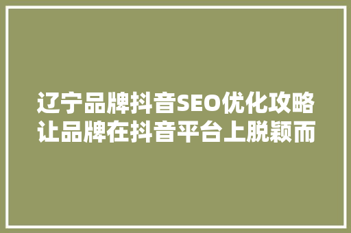 辽宁品牌抖音SEO优化攻略让品牌在抖音平台上脱颖而出