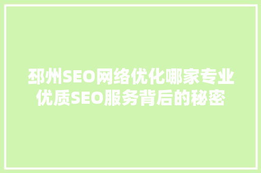 邳州SEO网络优化哪家专业优质SEO服务背后的秘密