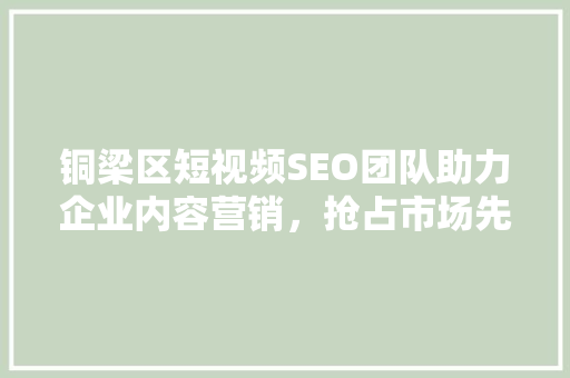 铜梁区短视频SEO团队助力企业内容营销，抢占市场先机