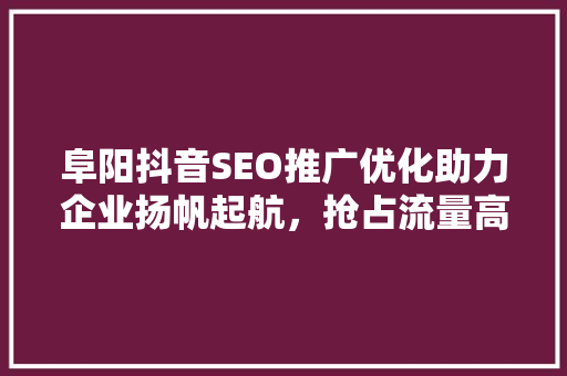 阜阳抖音SEO推广优化助力企业扬帆起航，抢占流量高地