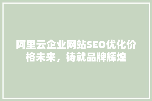 阿里云企业网站SEO优化价格未来，铸就品牌辉煌