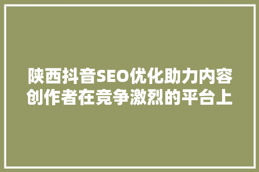 陕西抖音SEO优化助力内容创作者在竞争激烈的平台上脱颖而出