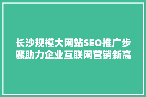 长沙规模大网站SEO推广步骤助力企业互联网营销新高度
