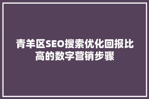青羊区SEO搜索优化回报比高的数字营销步骤