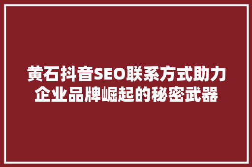 黄石抖音SEO联系方式助力企业品牌崛起的秘密武器