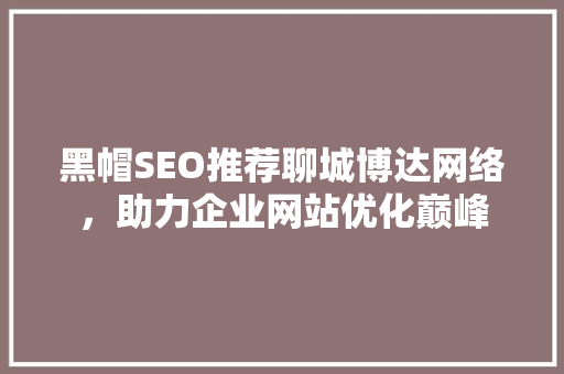 黑帽SEO推荐聊城博达网络，助力企业网站优化巅峰