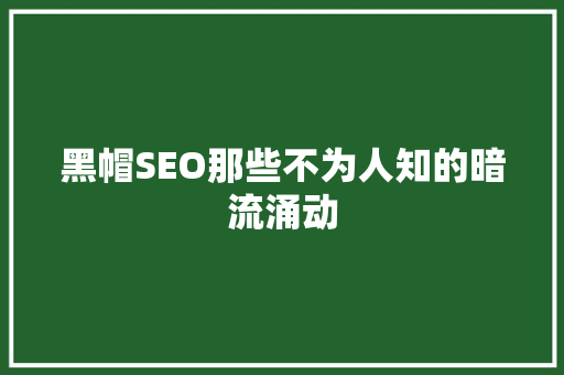 黑帽SEO那些不为人知的暗流涌动