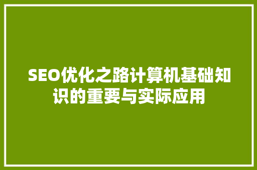 SEO优化之路计算机基础知识的重要与实际应用
