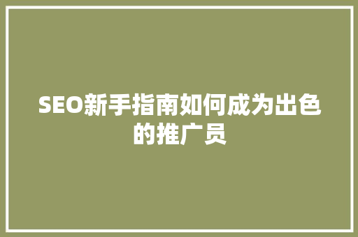 SEO新手指南如何成为出色的推广员