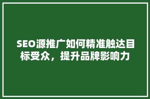 SEO源推广如何精准触达目标受众，提升品牌影响力