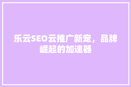 乐云SEO云推广新宠，品牌崛起的加速器