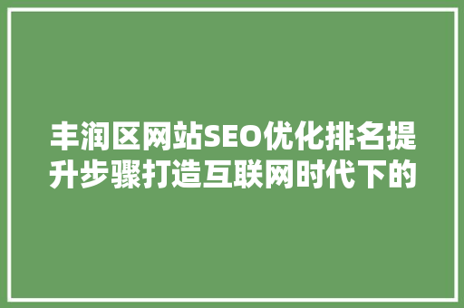 丰润区网站SEO优化排名提升步骤打造互联网时代下的核心竞争力