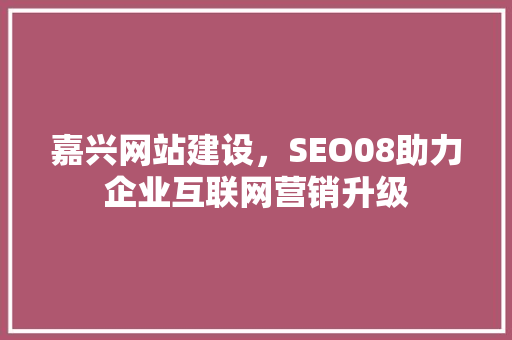 嘉兴网站建设，SEO08助力企业互联网营销升级