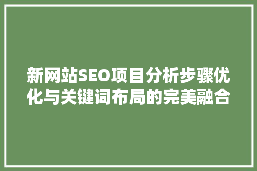 新网站SEO项目分析步骤优化与关键词布局的完美融合