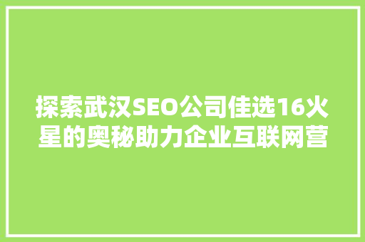 探索武汉SEO公司佳选16火星的奥秘助力企业互联网营销新篇章