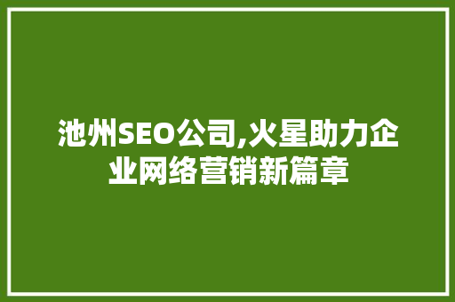 池州SEO公司,火星助力企业网络营销新篇章