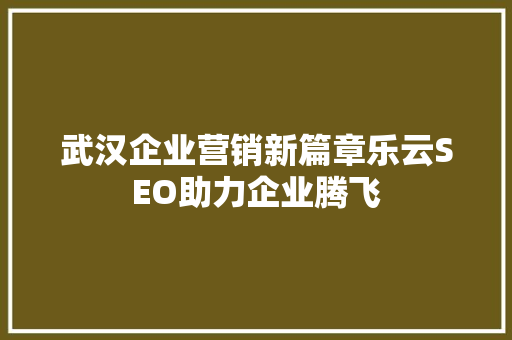 武汉企业营销新篇章乐云SEO助力企业腾飞