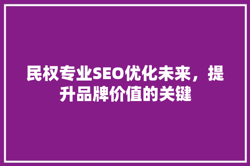 民权专业SEO优化未来，提升品牌价值的关键