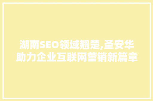 湖南SEO领域翘楚,圣安华助力企业互联网营销新篇章