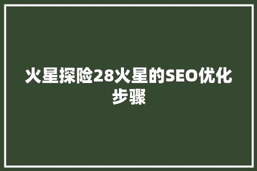 火星探险28火星的SEO优化步骤