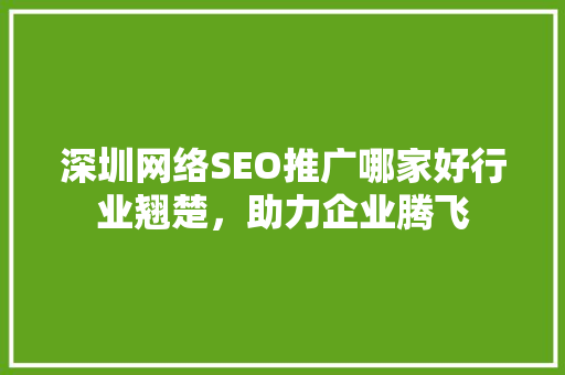 深圳网络SEO推广哪家好行业翘楚，助力企业腾飞