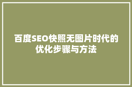 百度SEO快照无图片时代的优化步骤与方法