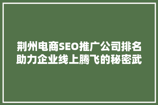 荆州电商SEO推广公司排名助力企业线上腾飞的秘密武器