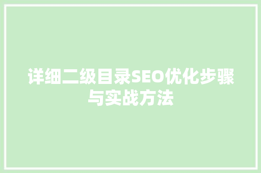 详细二级目录SEO优化步骤与实战方法