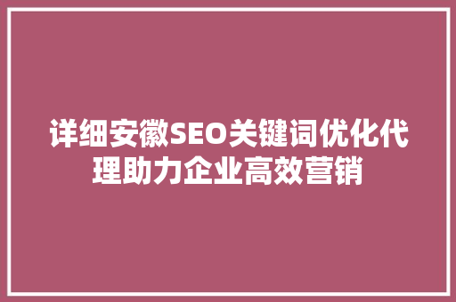 详细安徽SEO关键词优化代理助力企业高效营销