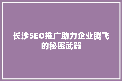 长沙SEO推广助力企业腾飞的秘密武器
