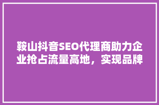 鞍山抖音SEO代理商助力企业抢占流量高地，实现品牌腾飞
