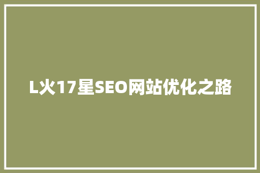 L火17星SEO网站优化之路