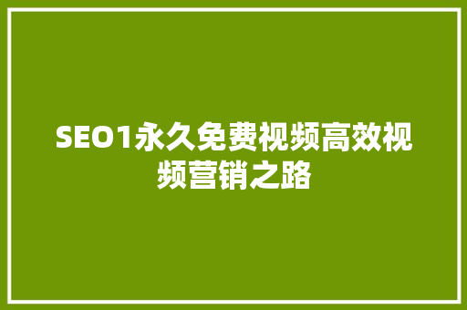 SEO1永久免费视频高效视频营销之路