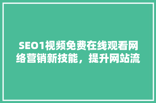 SEO1视频免费在线观看网络营销新技能，提升网站流量与排名