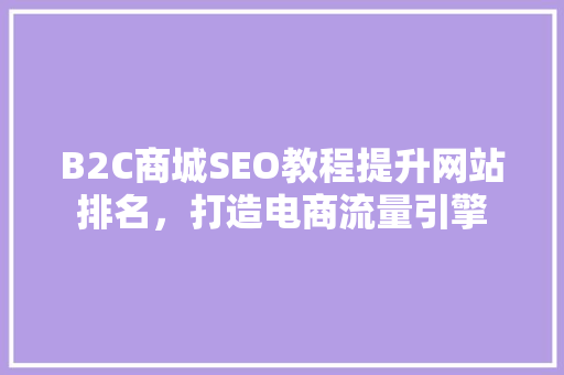 B2C商城SEO教程提升网站排名，打造电商流量引擎