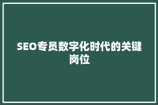 SEO专员数字化时代的关键岗位