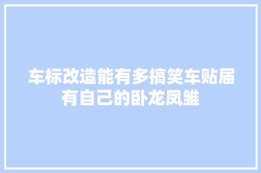 车标改造能有多搞笑车贴届有自己的卧龙凤雏